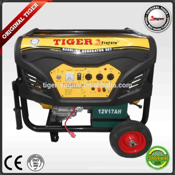 7000W Gasoline Generators Sets TMG8800DXE